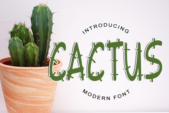 Cactus: A Modern Display Font for Striking Visuals